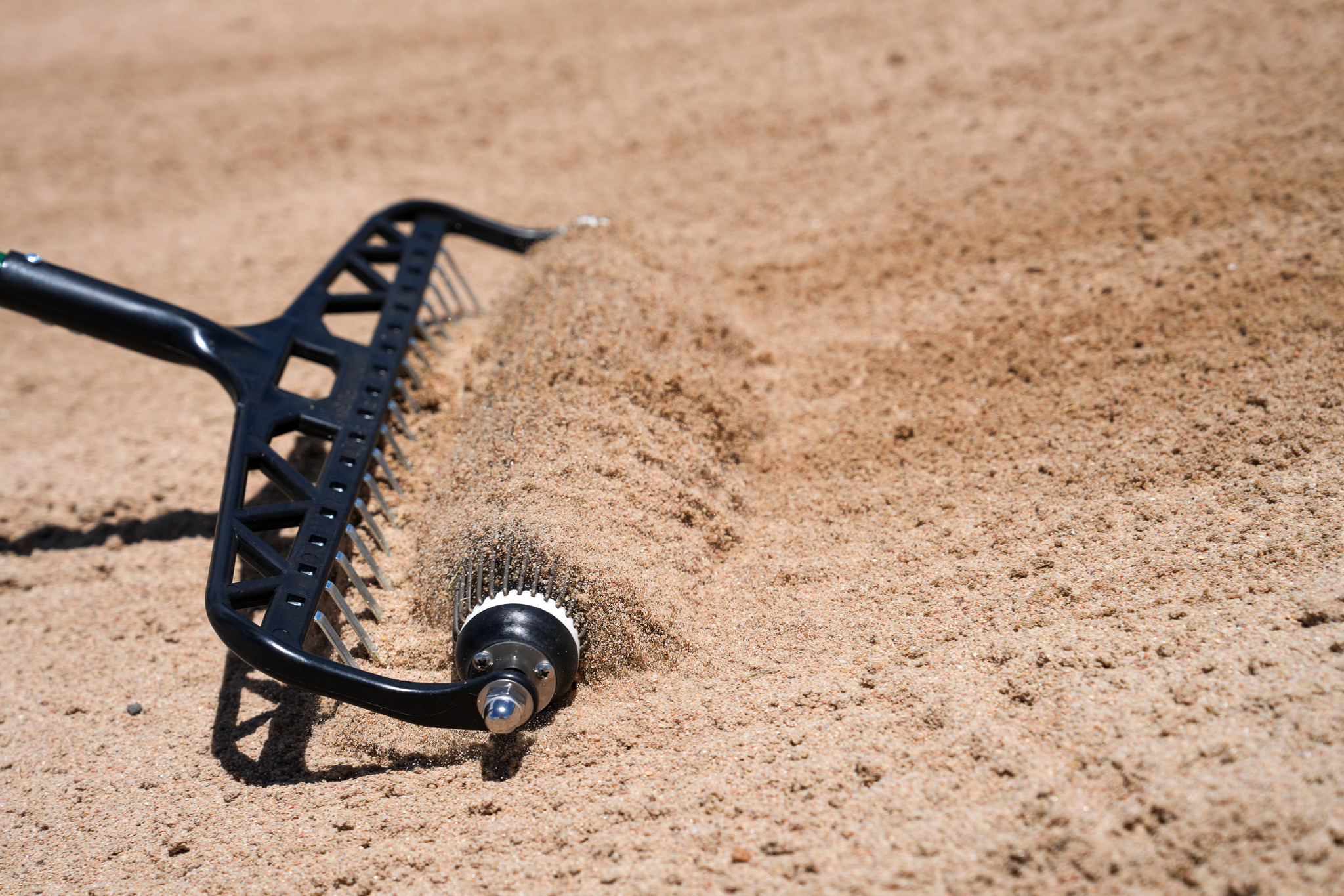 Championship Bunker Conditions