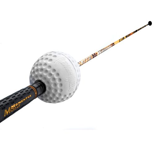 Momentus-Training-Grip